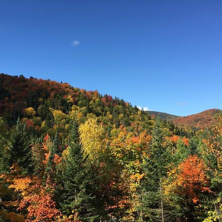 Loft Nature Laurentides Val-des-Lacs Dış mekan fotoğraf