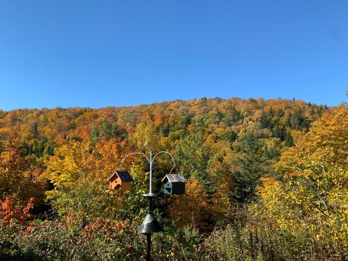 Loft Nature Laurentides Val-des-Lacs Dış mekan fotoğraf