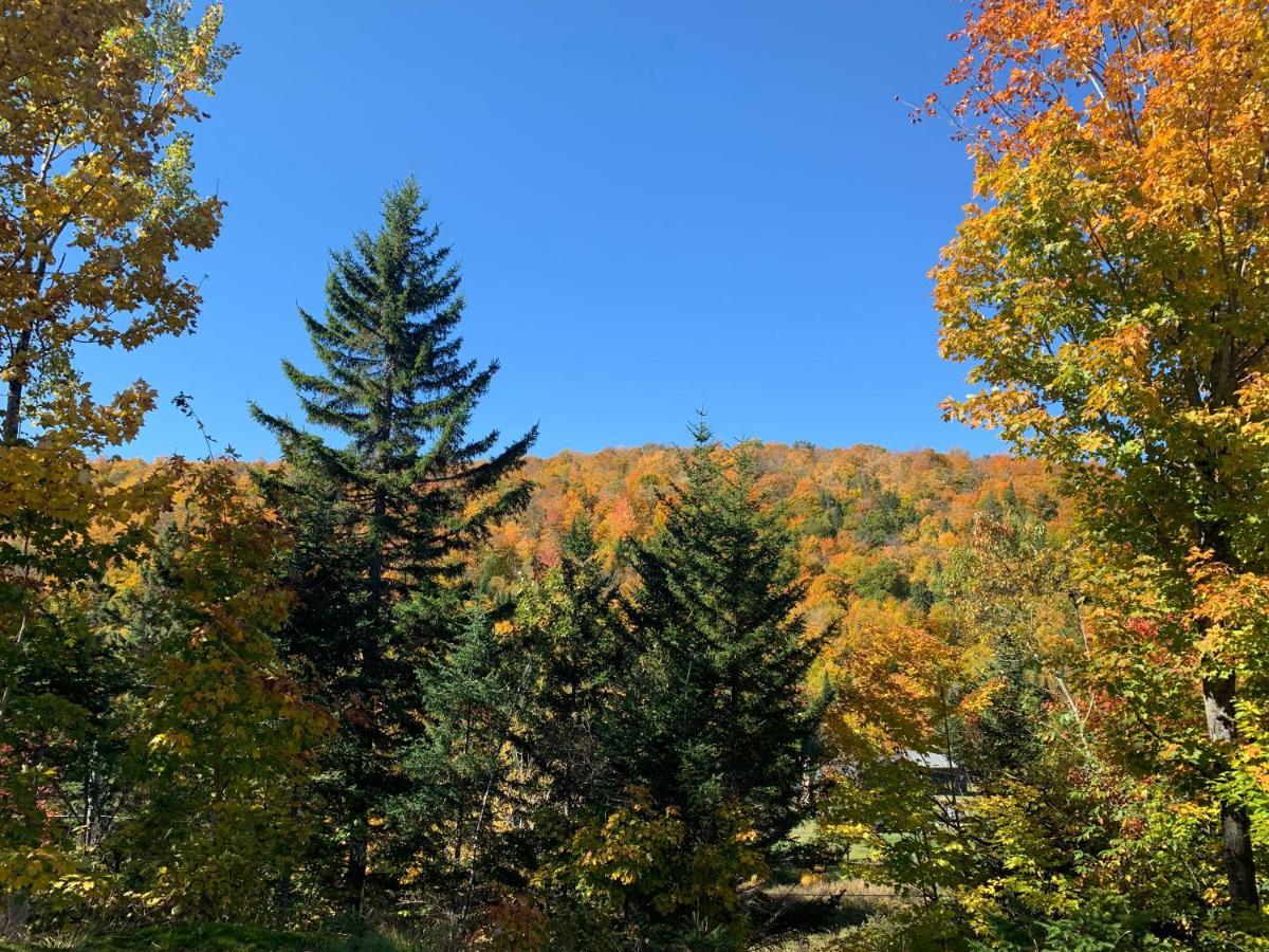Loft Nature Laurentides Val-des-Lacs Dış mekan fotoğraf
