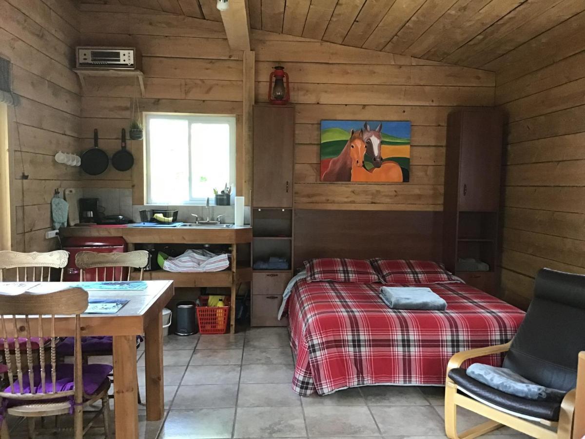 Loft Nature Laurentides Val-des-Lacs Dış mekan fotoğraf