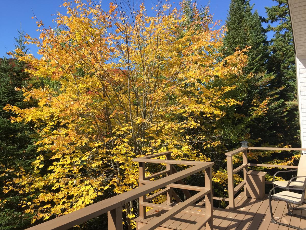 Loft Nature Laurentides Val-des-Lacs Dış mekan fotoğraf