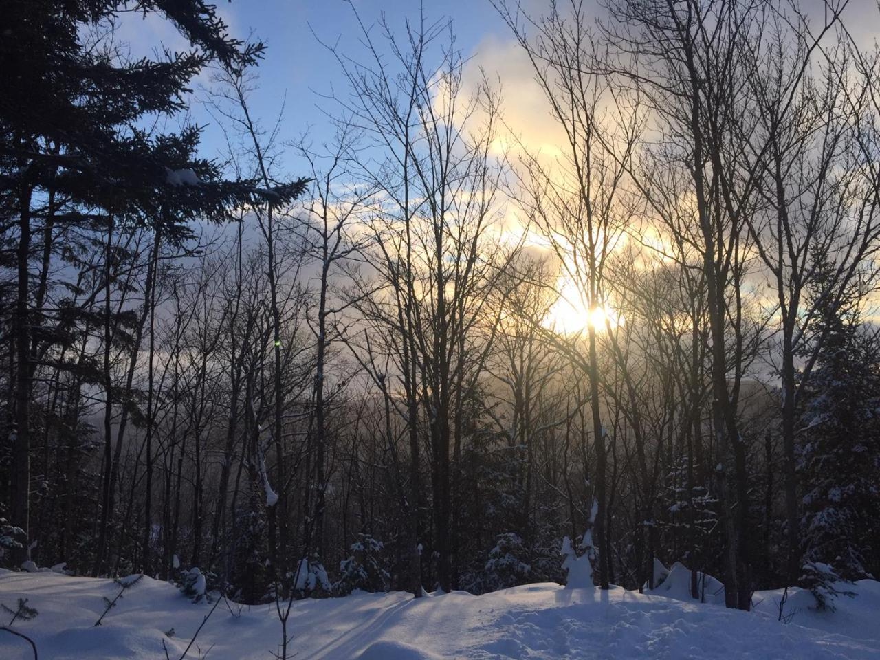 Loft Nature Laurentides Val-des-Lacs Dış mekan fotoğraf